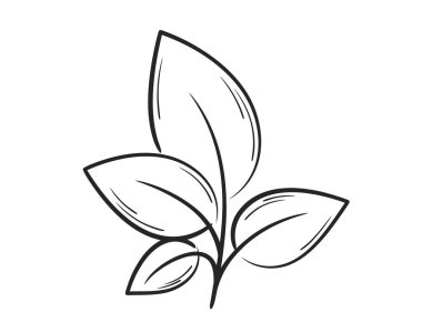 Dört yaprak çizgisi olan bitki. Doğa, ilkbahar ve ekme tasarım elementi. İzole vektör resmi