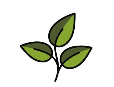 Bitki filizi, yeşil renklerde. Bahar, ekme ve doğa tasarım elementleri. İzole vektör resmi