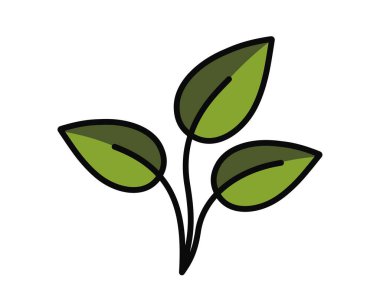 Yeşil renkli üç saplı bir bitki filizi. Bahar, ekme ve doğa tasarım elementleri. İzole vektör resmi