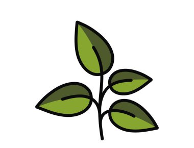 Yeşil renkli dört yapraklı filizlenme. Bahar, ekme ve doğa tasarım elementleri. İzole vektör resmi