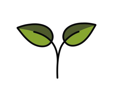 Yeşil renkli iki yapraklı filizlenme. Bahar, ekme ve doğa tasarım elementleri. İzole vektör resmi