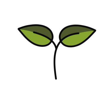 Yeşil renkli iki yapraklı filizlenmiş bitki. Bahar, ekme ve doğa tasarım elementleri. İzole vektör resmi