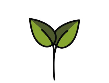 Yeşil renklerde filizlenmiş bitki çizimi. Tohumlama, ekme ve bahar tasarım elementleri. İzole vektör resmi