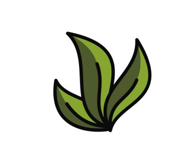 Yeşil renkli üç yapraklı filizlenme var. Bahar, ekme ve doğa tasarım elementleri. İzole vektör resmi