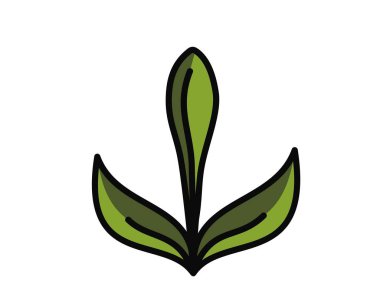 Yeşil renklerde bahar bitkisi tomurcuğu çizimi. Filizlenme, ekme ve doğa tasarım elementleri. İzole vektör resmi