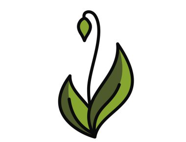 Yeşil renkli tomurcuk resimli bahar filizleri. Ekme ve doğa tasarım elementleri. İzole vektör resmi