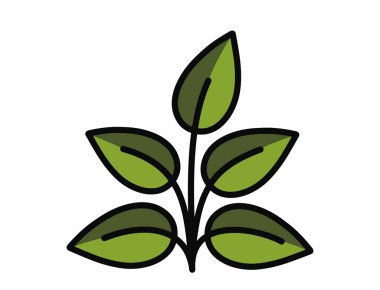 Yeşil renkli beş yapraklı bahar bitkisi. Bahar, ekme ve doğa tasarım elementleri. İzole vektör resmi