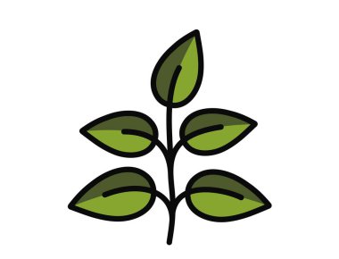 Beş yapraklı yeşil renkli bir bitki. Bahar, ekme ve doğa tasarım elementleri. İzole vektör resmi