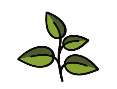 Yeşil renkli dört yapraklı filizlenme. Bahar, ekme ve doğa tasarım elementleri. İzole vektör resmi