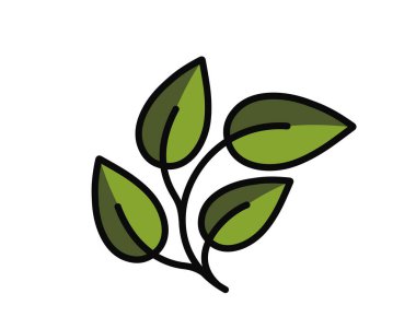 Yeşil renkli dört yapraklı kavisli bitki. Bahar, ekme ve doğa tasarım elementleri. İzole vektör resmi