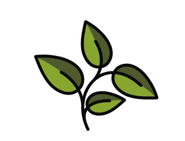 Yeşil renkli dört yapraklı kavisli bitki. Doğa, ilkbahar ve ekme tasarım elementi. İzole vektör illüstrasyonu