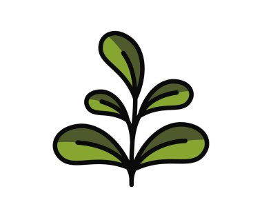 Beş yuvarlak yapraklı, yeşil renkli bahar bitkisi. Ekme ve doğa tasarım elementleri. İzole vektör resmi