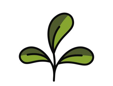 Üç yuvarlak yapraklı, yeşil renkli bir bitki. Doğa, ilkbahar ve ekme tasarım elementi. İzole vektör resmi