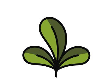 Yeşil renkli üç yuvarlak yapraklı filizlenme. Bahar, ekme ve doğa tasarım elementleri. İzole vektör resmi