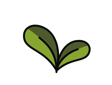 Yeşil renkli iki yuvarlak yapraklı filizlenme. Bahar, ekme ve doğa tasarım elementleri. İzole vektör resmi