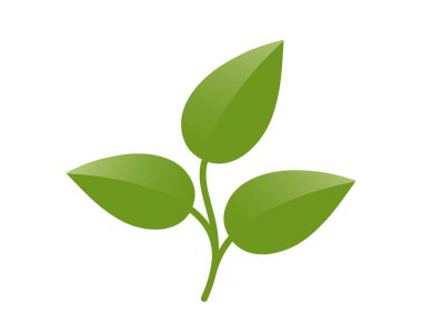 Yeşil bitki filizi çizimi. Bahar, ekme ve doğa tasarım elementleri. İzole vektör resmi