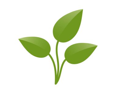 Üç saplı yeşil bitki filizi. Bahar, ekme ve doğa tasarım elementleri. İzole vektör resmi