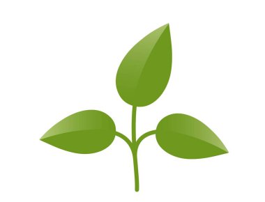 Üç yapraklı yeşil bitki filizi. Bahar, ekme ve doğa tasarım elementleri. İzole vektör resmi