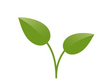 İki saplı yeşil bitki filizi. Bahar, ekme ve doğa tasarım elementleri. İzole vektör resmi