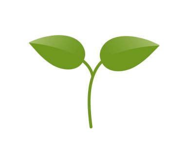 İki yapraklı yeşil filizlenmiş bitki. Bahar, ekme ve doğa tasarım elementleri. İzole vektör resmi