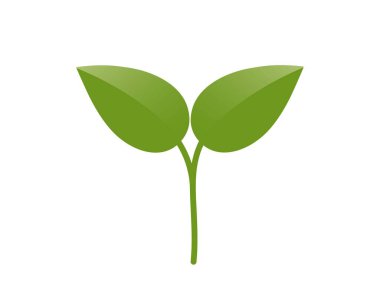 İki yapraklı yeşil filizlenmiş bitki. Tohumlama, ekme ve bahar tasarım elementleri. İzole vektör resmi