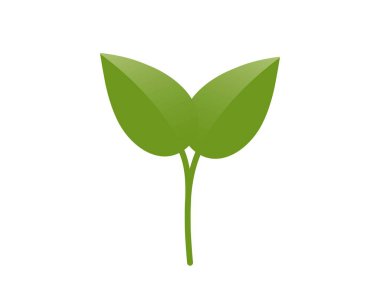 Yeşil filizlenmiş bitki çizimi. Tohumlama, ekme ve bahar tasarım elementleri. İzole vektör resmi