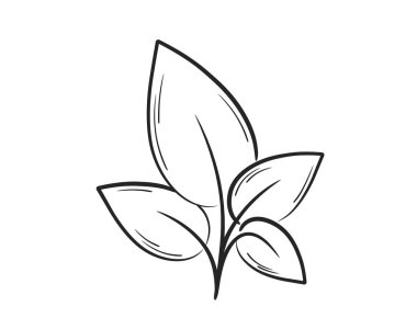 Bitki çizgisi çizimi. Doğa ve ekim tasarımı elementi. İzole vektör resmi