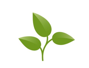 Üç yapraklı yeşil kavisli bitki filizi. Bahar, ekme ve doğa tasarım elementleri. İzole vektör resmi