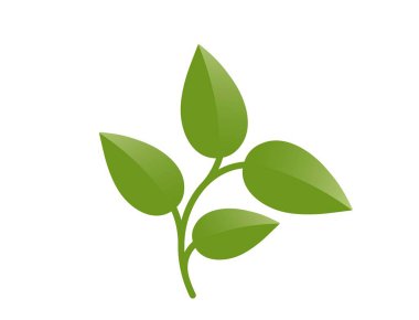 Dört yapraklı yeşil kavisli bitki. Doğa, ilkbahar ve ekme tasarım elementi. İzole vektör illüstrasyonu