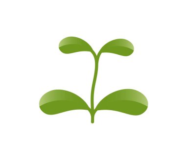 Yeşil bahar filizlenen bitki çizimi. Doğa ve ekim tasarımı elementi. İzole vektör resmi