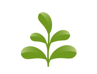 Beş yuvarlak yapraklı yeşil bahar bitkisi. Ekme ve doğa tasarım elementleri. İzole vektör resmi