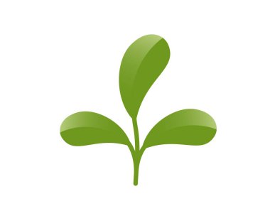 Üç yuvarlak yapraklı yeşil bitki. Doğa, ilkbahar ve ekme tasarım elementi. İzole vektör resmi