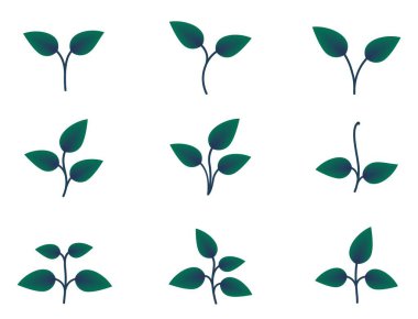 Yaprakları yeşil olan bir bitki seti. Doğa ve ekim tasarımı elementleri. İzole vektör resimleri