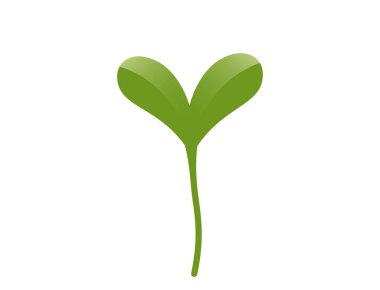 Yeşil filizlenmiş bitki çizimi. Tohumlama, ekme ve bahar tasarım elementleri. İzole vektör resmi