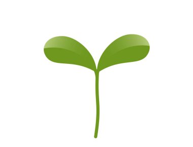 İki yapraklı yeşil filizlenme. Ekme ve bahar tasarım elementleri. İzole vektör resmi