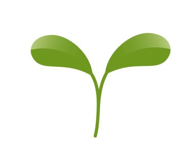 Yeşil filizlenme çizimi. Ekme, tarım ve bahar tasarım elementleri. İzole vektör resmi