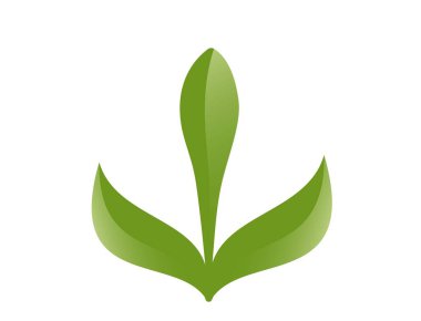 Yeşil renkli yeşil bahar tomurcuklanması. Filizlenme, ekme ve doğa tasarım elementleri. İzole vektör resmi