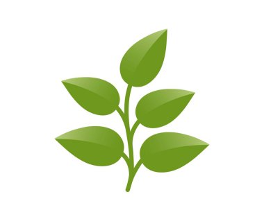 Yeşil filizli, beş yapraklı, yeşil renkli. Bahar, ekme ve doğa tasarım elementleri. İzole vektör resmi