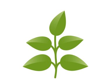 Yeşil bitki ve yeşil renkli beş yaprak. Bahar, ekme ve doğa tasarım elementleri. İzole vektör resmi