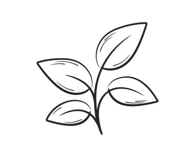 Yaprak çizgisi olan bitki. Doğa, bahçıvanlık ve ekim tasarımı. İzole vektör resmi