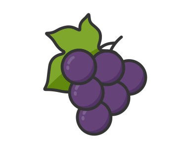 Yapraklı kırmızı üzümler. Şarap, bahçıvanlık ve hasat sembolü. Taze organik meyve. İzole vektör resmi