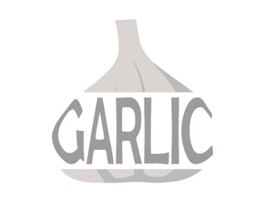 Sarımsaklı sarımsak. Sebze, ekme ve hasat sembolü. Doğal organik gıda. İzole vektör resmi