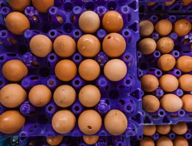 Yumurtalar birden fazla protein içerir. Pişirmede en çok kullanılan kuş yumurtaları tavuk, ördek ve kaz yumurtalarıdır. Yumurtalar, Daily Değer olarak çeşitli vitamin ve mineraller sağlar.