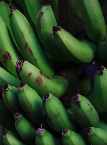 Nahaufnahme Von Grünen Bananen Oder Pisang Kepok Musa Acuminata Ist — Stockfoto