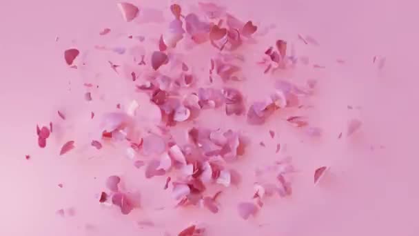 Płynna Animacja Pętli Płatków Kwiatów Latających Różowym Tle Animacja Wideo Stockowe bez tantiem
