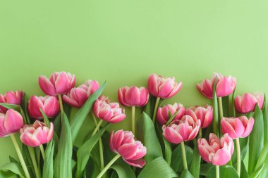 Yeşil arka planda bir buket pembe lale. Yıldönümü kutlaması. Uzayı kopyala Üst