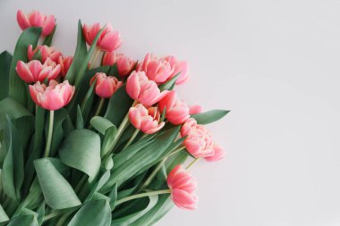 Beyaz ahşap masada pembe laleler. Yıldönümü kutlaması. Uzayı kopyala Üst görünüm