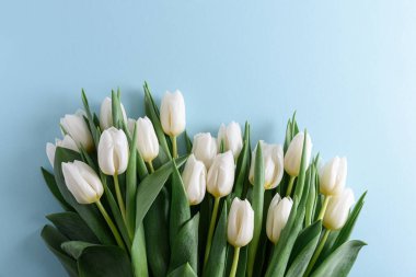 Mavi arka plandaki beyaz lale buketinin çiçek sınırı. Yıldönümü kutlaması. Uzayı kopyala Üst görünüm