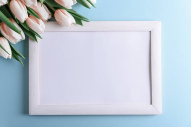 Ahşap kenarlı, mavi arka planda pembe laleler. Yıldönümü kutlaması. Yumuşak odak