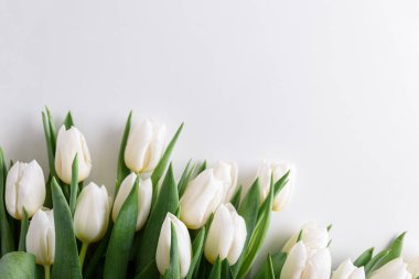 Beyaz arka plandaki beyaz lale buketinin çiçek sınırı. Yıldönümü kutlaması. Uzayı kopyala Üst görünüm